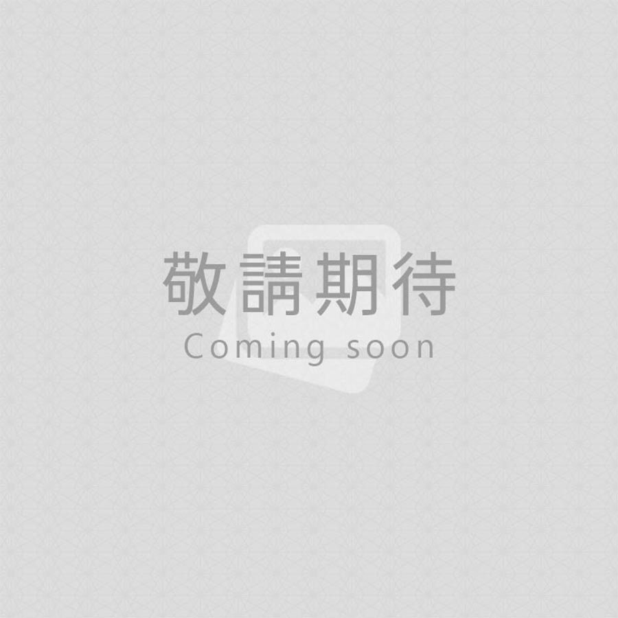 惡靈古堡456 (5.6代為美區序號)